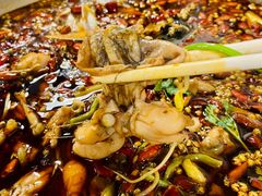 -味之绝热血美蛙鱼火锅(中坝店)