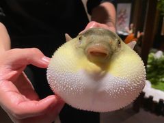 -肆月河豚·淮扬菜·湘菜(华天店)