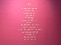 -安阳博物馆