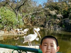 -昆明动物园