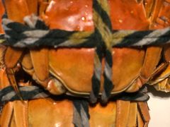 -长沙北辰洲际酒店-兰调全日餐厅