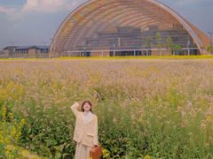 -中国天府农业博览园