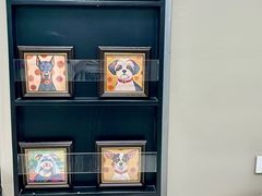 -申普宠物医院·心脏介入·心血管微创(总院)