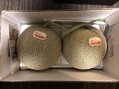 -富田农场
