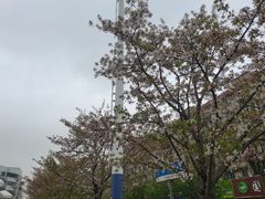 -永乐路-路侧停车场