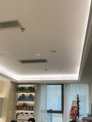 点击看大图 -碧莲盛·不剃发植发