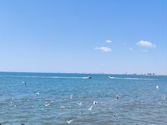 -老虎石海上公园