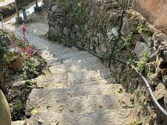 -塔川景区