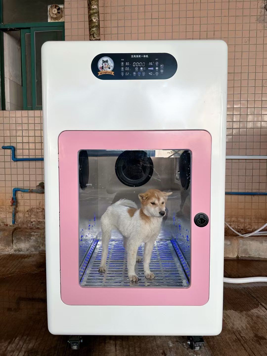 宠物宝宝智能全自动洗烘一体机