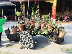 -西双版纳傣族园-曼春满佛寺