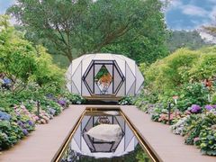-深圳仙湖植物园