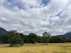 -塔川景区