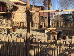 -鱼窝棚柴火铁锅炖(富山屯店)