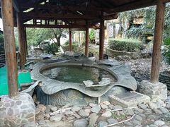 -明月山天沐温泉度假村