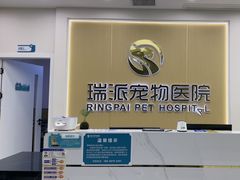 -瑞派康怡24h宠物医院·犬猫医疗中心·微创绝育(瑞景分院)