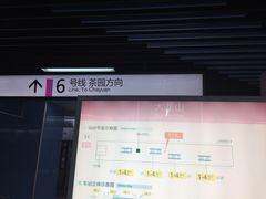 -大龙山(地铁站)