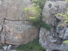 -原山国家森林公园