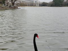 -东华大学(松江校区)