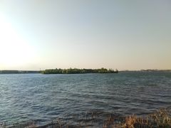 -丁香湖公园