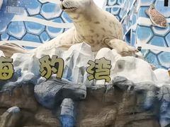 -华夏文旅海洋公园