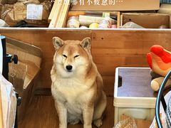 -小时光咖啡馆(开森度假森林店)