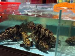 -阿伟海鲜楼·福建菜(延寿店)