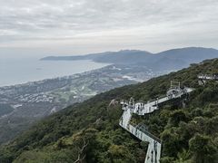 -亚龙湾热带天堂森林公园