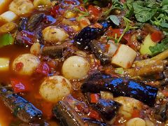 -院8里·小聚园老川菜(九眼桥店)