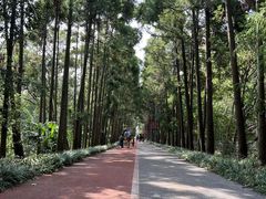 -上海长兴岛郊野公园