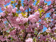 -UNIUNI(凯瑟琳广场店)