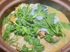 -九道菜有鸡鱼头(石鼓路店)