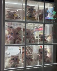 -奈尔宝家庭中心·亲子餐厅(长沙运达汇店)