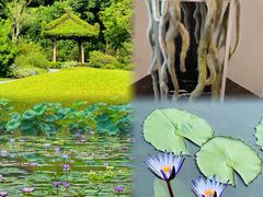 -云溪植物园