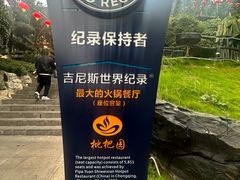 -枇杷园食为鲜火锅(南山店)