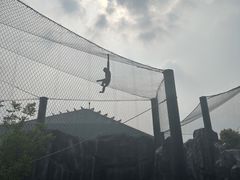 -武汉动物园