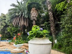 -菲鱼体育恒温游泳馆(中海名城店)