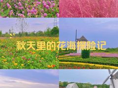 -金卉庄园