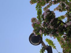 -北京展览馆