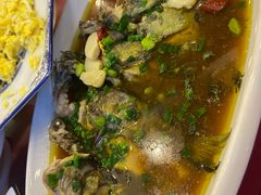 -呼吸森林·生态农庄农家乐私房菜