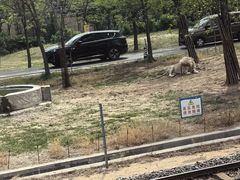 -秦皇岛野生动物园