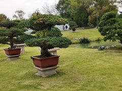 -扬州大运河文化旅游度假区·盆景园