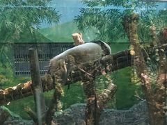 -黔灵山公园-南门售票处