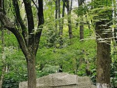 -杭州半山国家森林公园