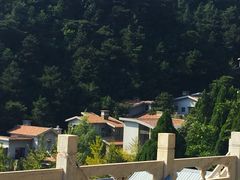 -遵化市禅林寺古银杏风景园