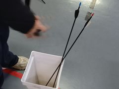 -蓝天射箭馆·专业射箭运动(诚丰广场店)