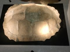 -金沙遗址博物馆