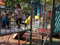 -晓港公园