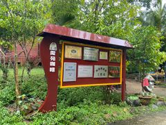 -兴隆隆苑咖啡庄园