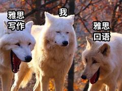 -新航道雅思托福·留学·考研培训(人民广场校区)