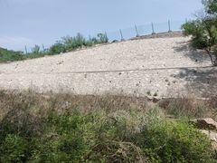 -白水寺森林公园